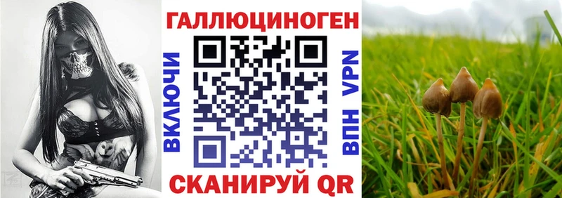 цены   Оленегорск  Псилоцибиновые грибы Psilocybine cubensis 